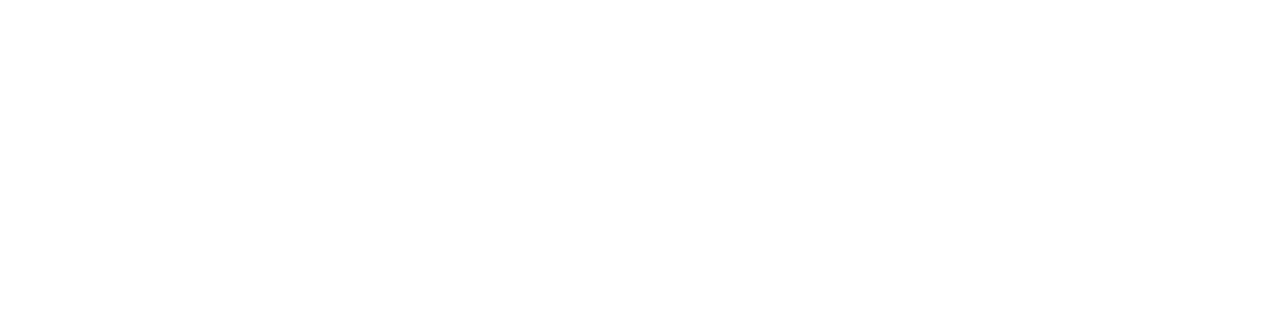 Waldis Printing Solutions AG - Logo Weiss Waldis Printing Solutions AG - Logo Weiss